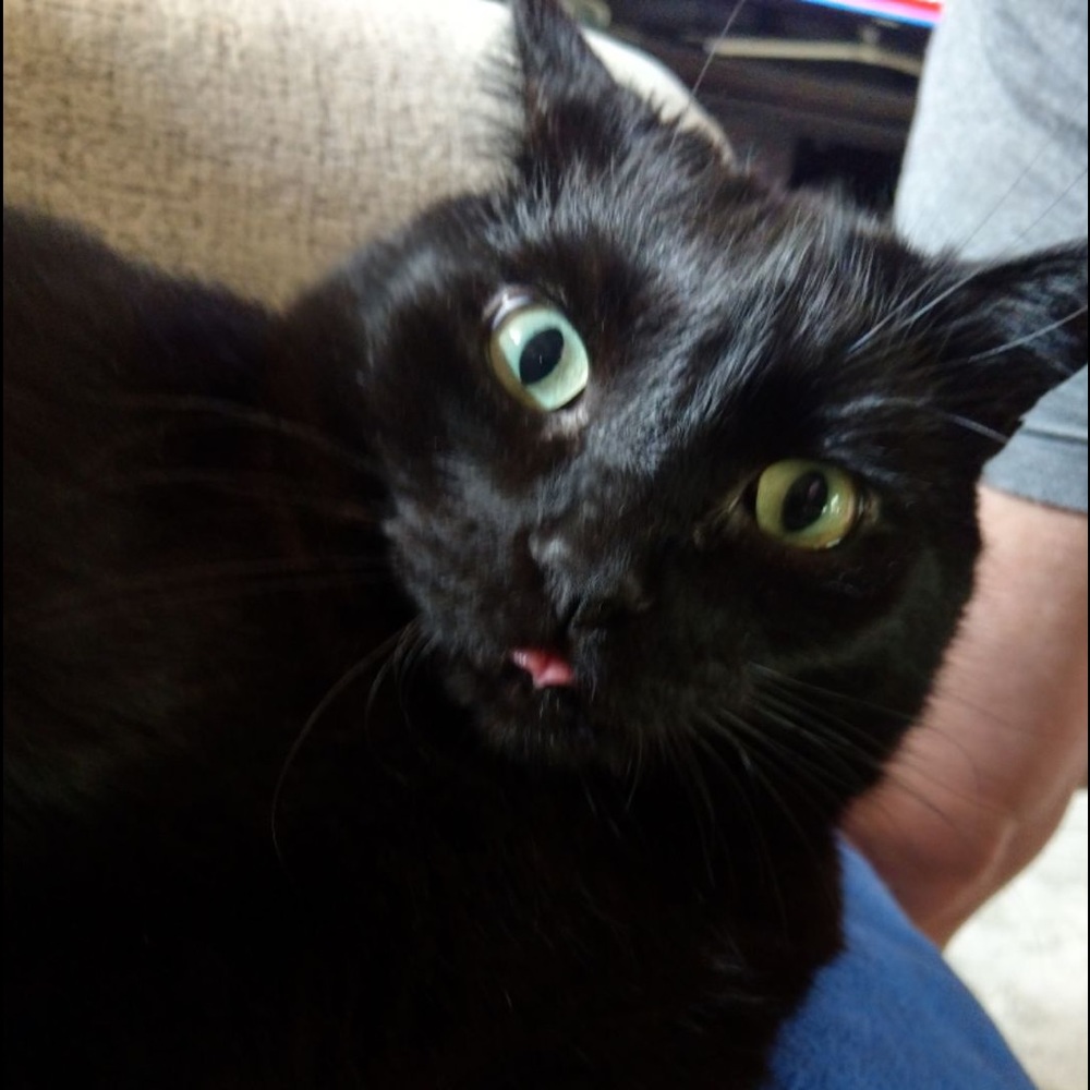 Meet your Posher, Sheri